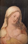 Albrecht Durer The Virgin suckling the Child china oil painting artist